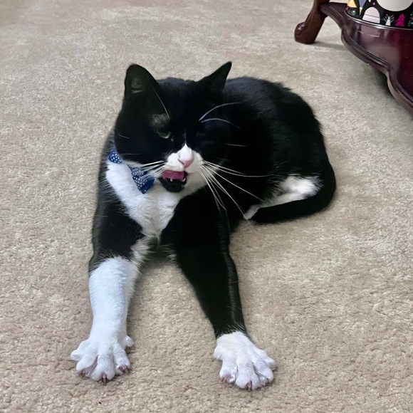 Meet your Posher, Dynamitelotus - Picture 14 of 14